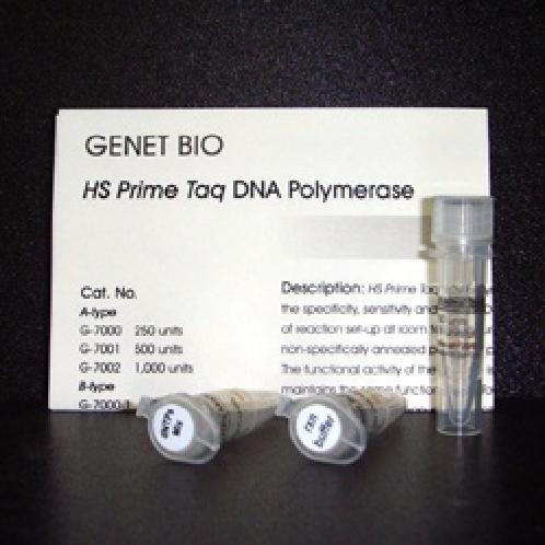 HS Prime Taq DNA Polymerase (hot-start version) 