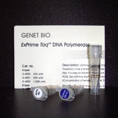 ExPrime Taq DNA Polymerase 