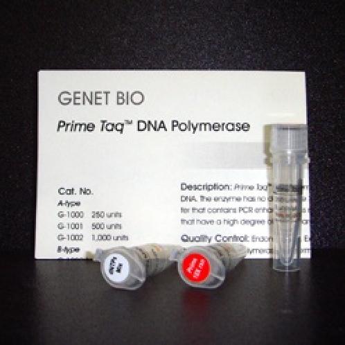 Prime Taq DNA Polymerase 
